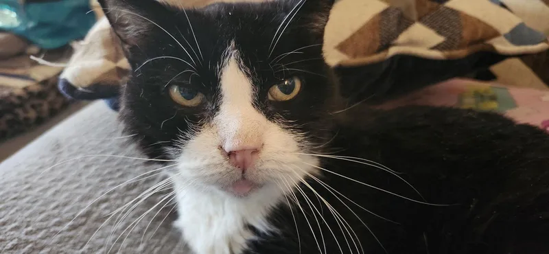 Lily Bearc sn Food thumbnail 3