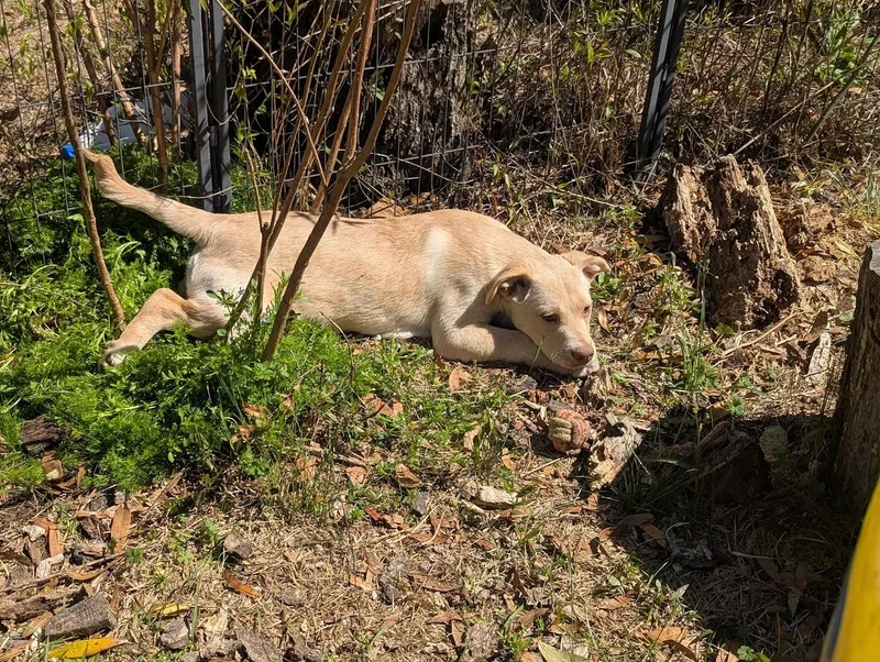 August "auggie" Vale thumbnail 2