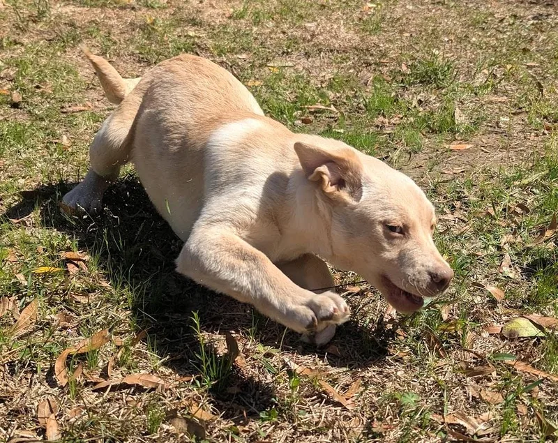 August "auggie" Vale thumbnail 3