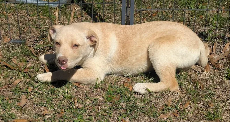 August "auggie" Vale thumbnail 4