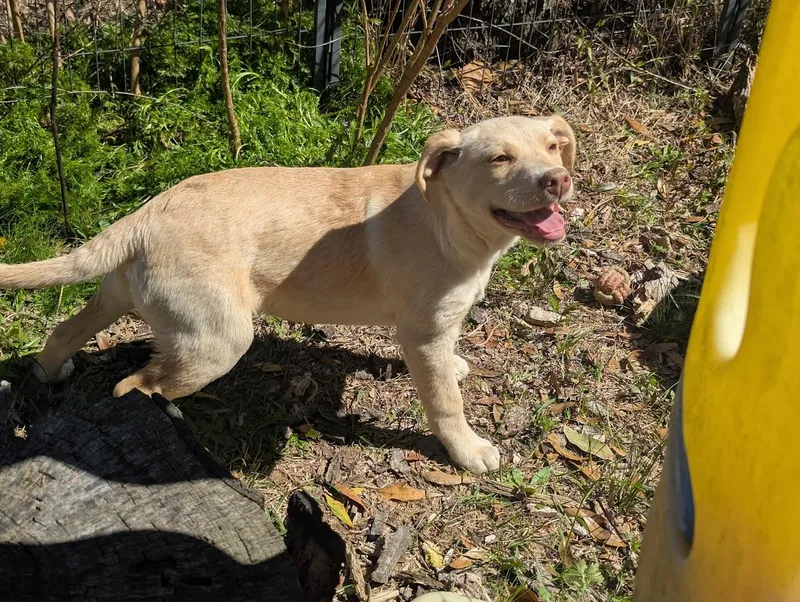 August "auggie" Vale thumbnail 6