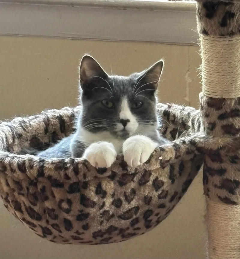 Lucy  Willow Grove thumbnail 2