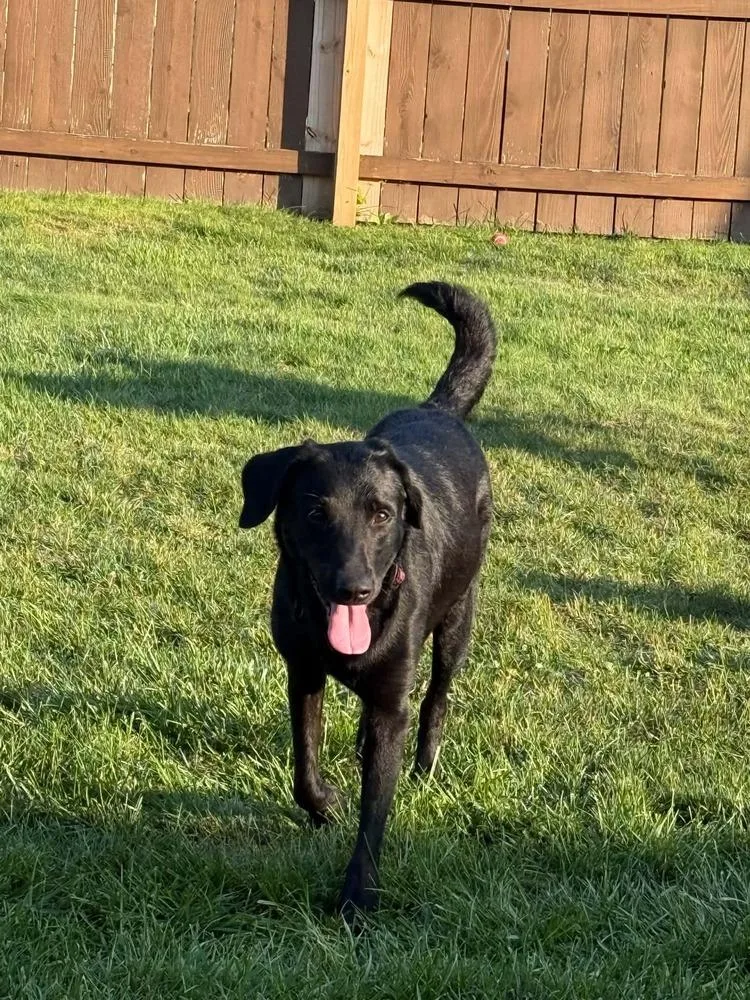 Lucy