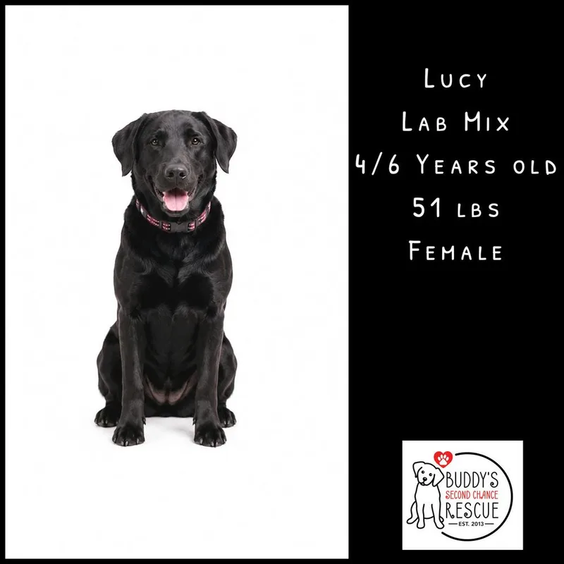 Lucy thumbnail 2