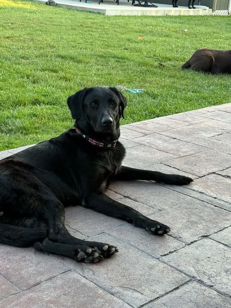 Lucy thumbnail 6