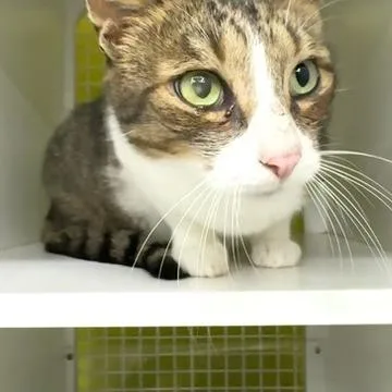 Lover Boy thumbnail 2