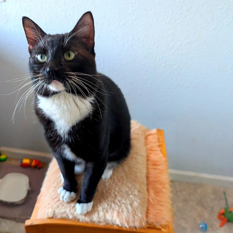 Tux