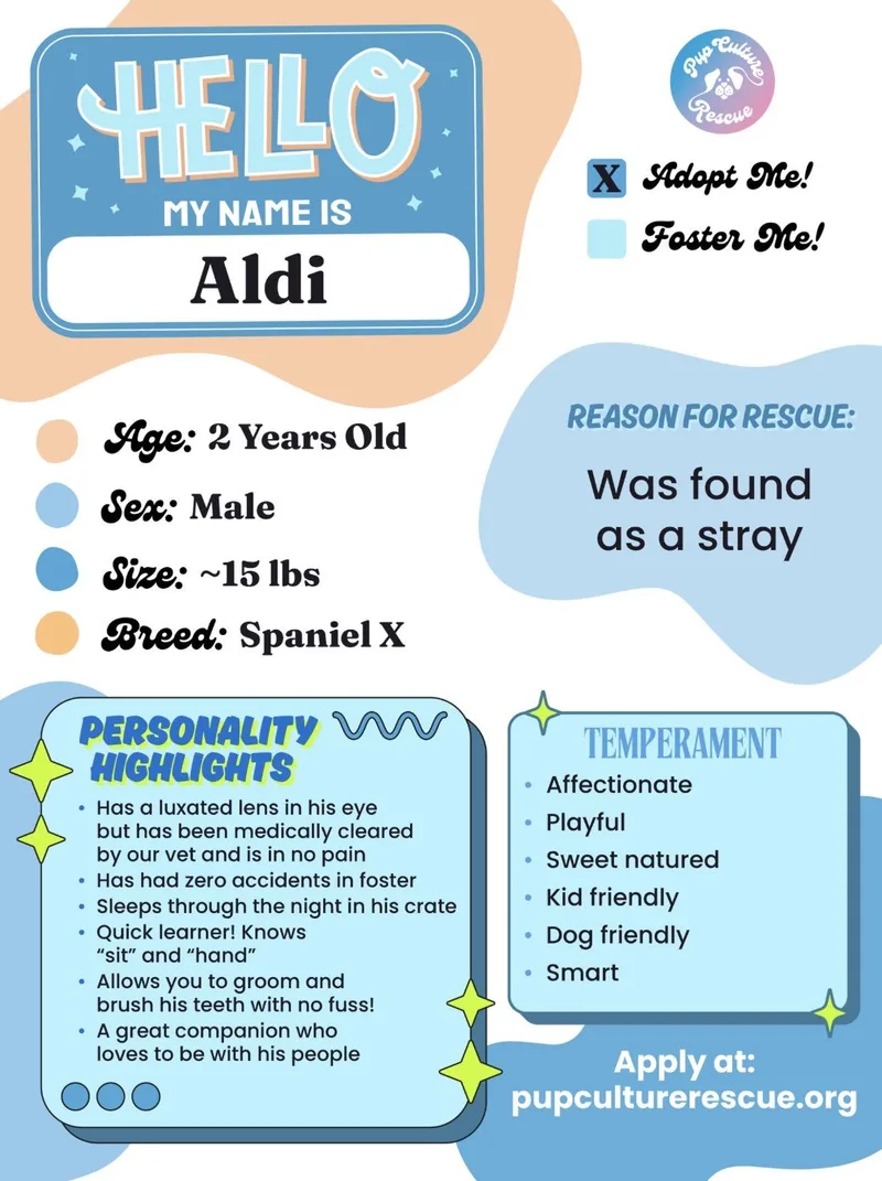 Aldi thumbnail 5
