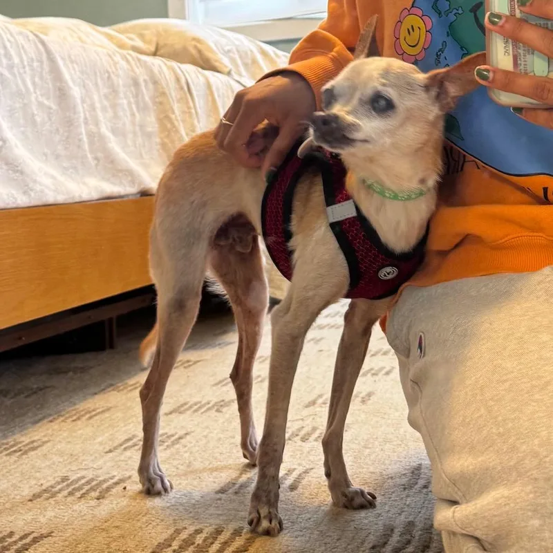 Grommet thumbnail 2
