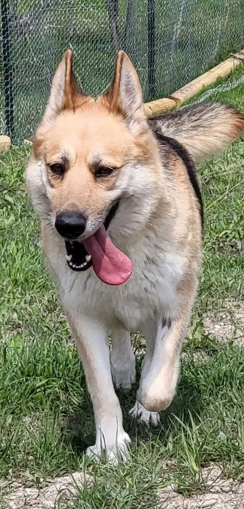 Flaca & Bella Bonded