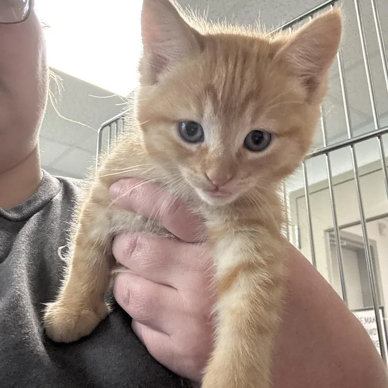 Molly Davis thumbnail 2