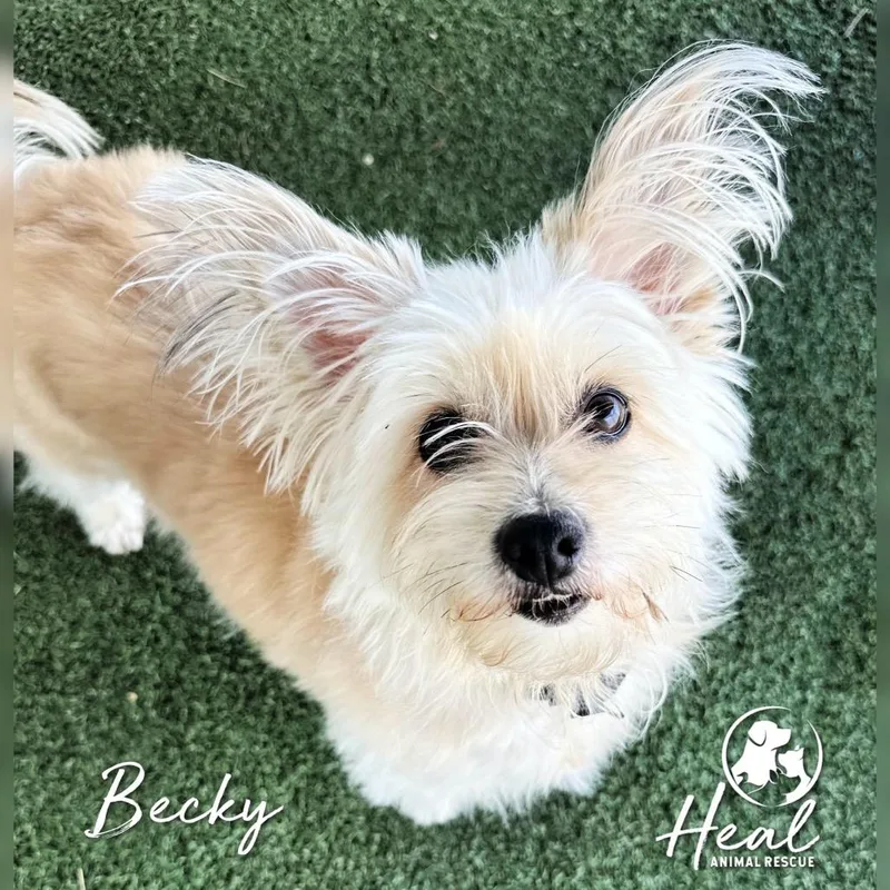 Becky thumbnail 2