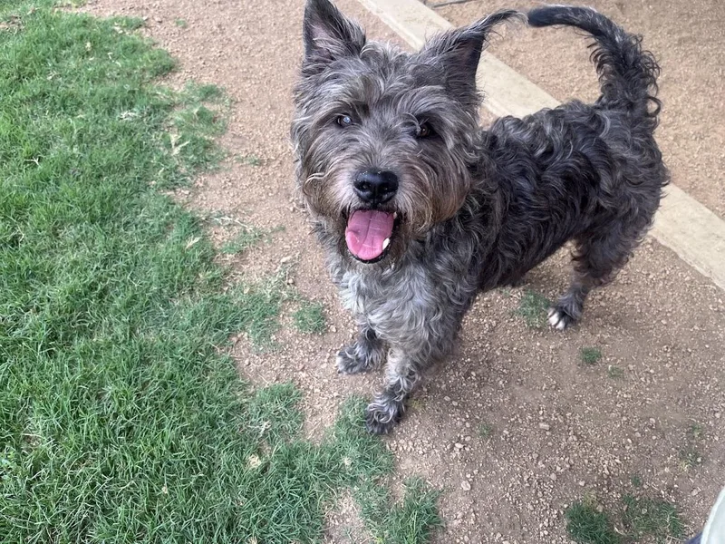 Murphy A thumbnail 3