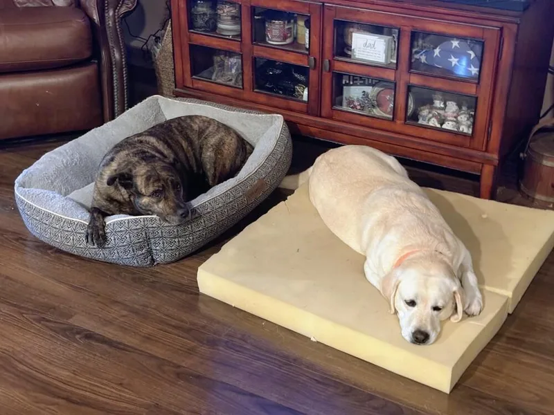 Daisy Bailey  BONDED thumbnail 5