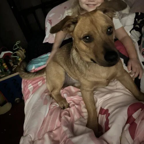 Reggie Leon thumbnail 2