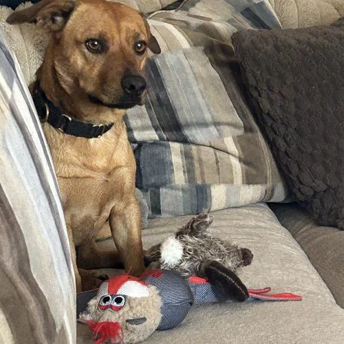 Reggie Leon thumbnail 5