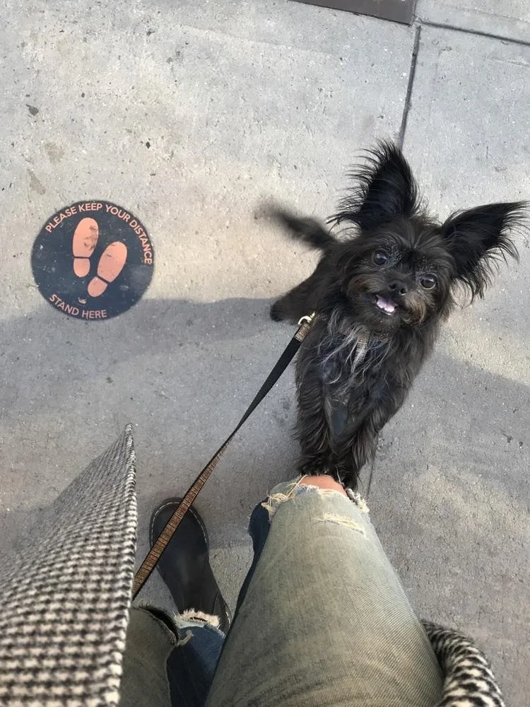 Tallulah thumbnail 2