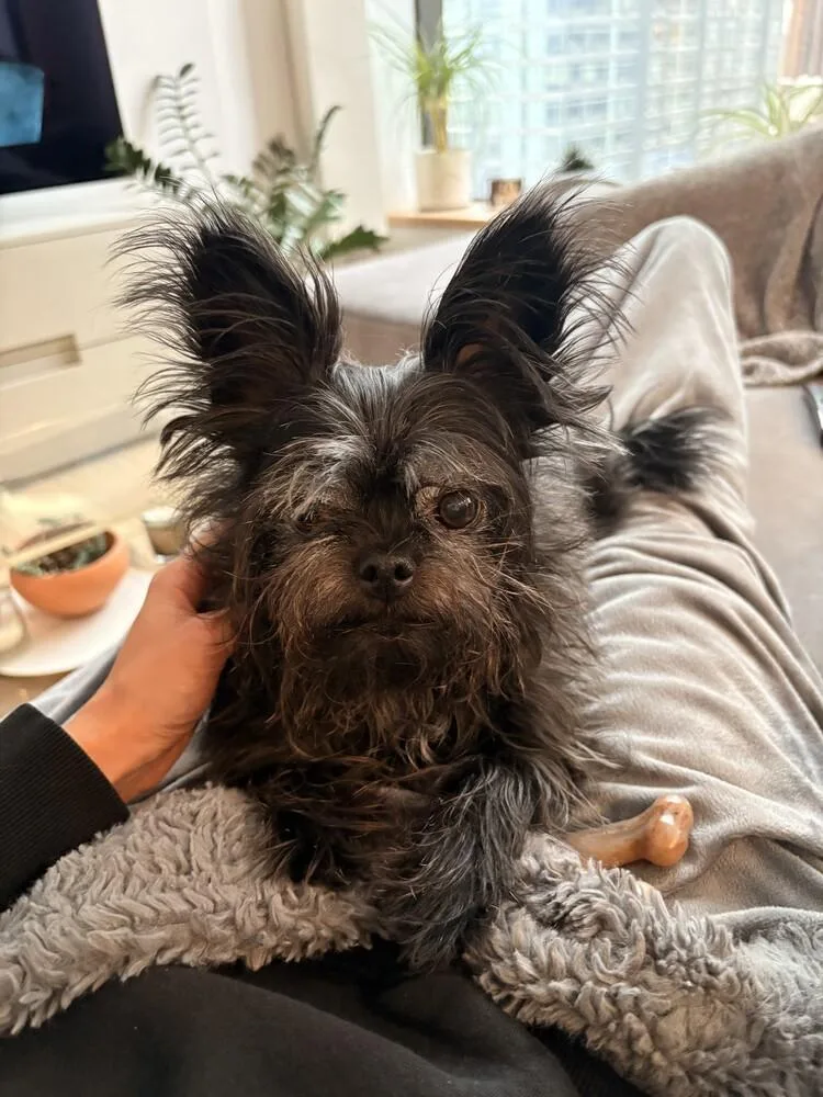 Tallulah thumbnail 4