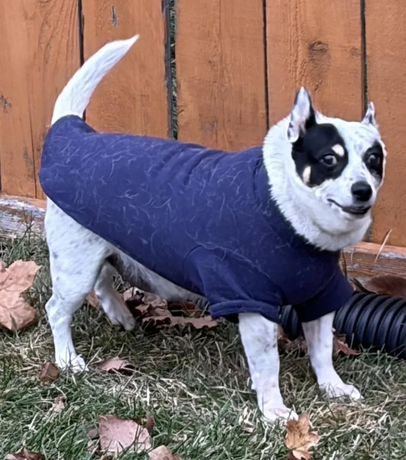 Spuds And Winnie thumbnail 2