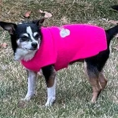 Spuds And Winnie thumbnail 3