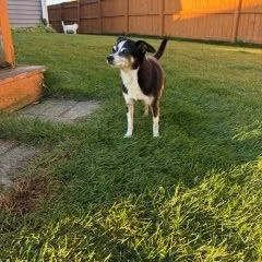 Spuds And Winnie thumbnail 4