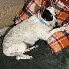 Spuds And Winnie thumbnail 5