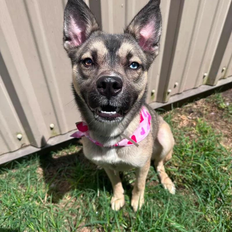 Bella
