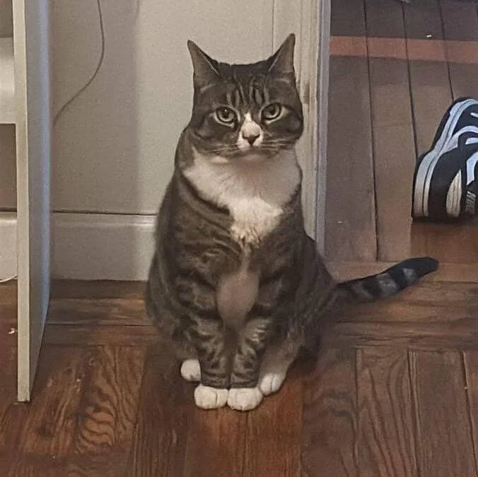 Cleopatra thumbnail 3