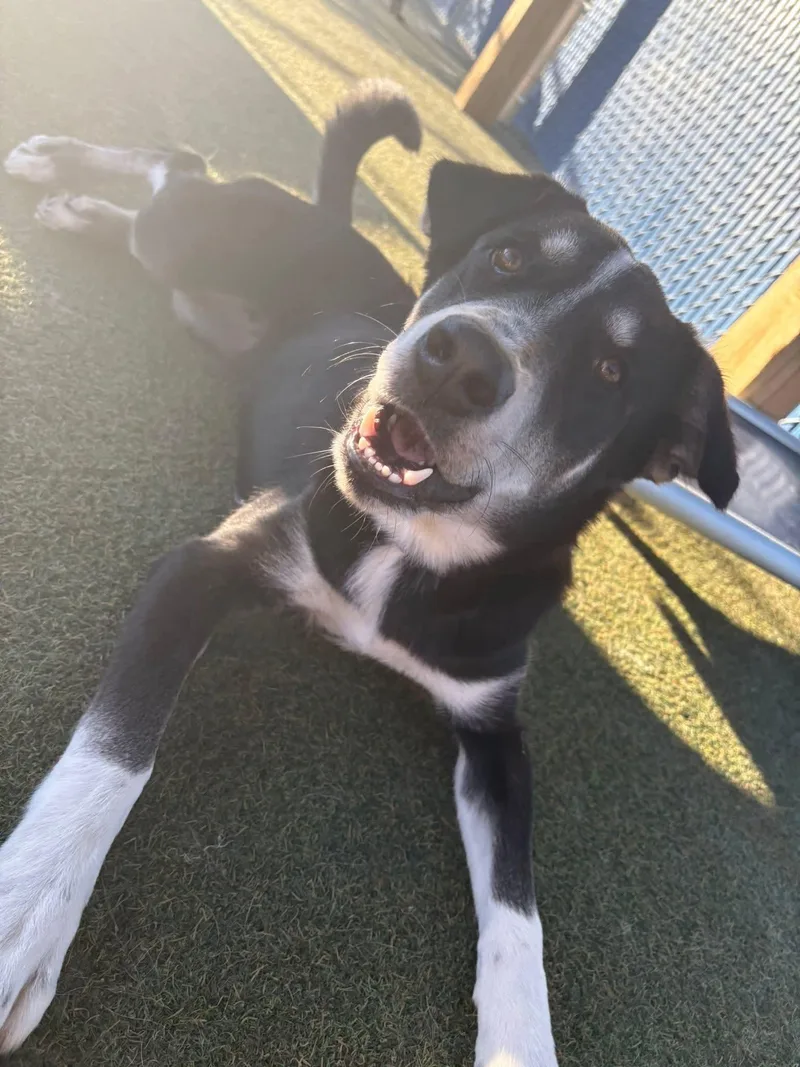 Sully H.   thumbnail 2