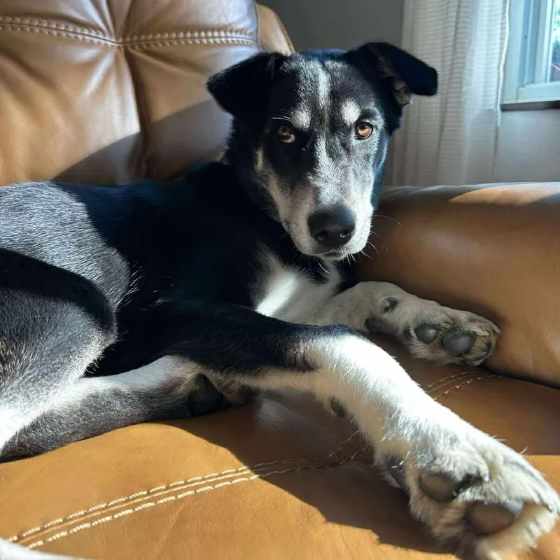 Sully H.   thumbnail 3