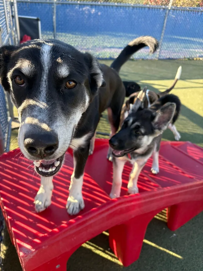 Sully H.   thumbnail 5