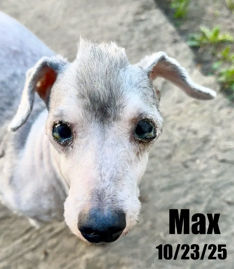Max thumbnail 3