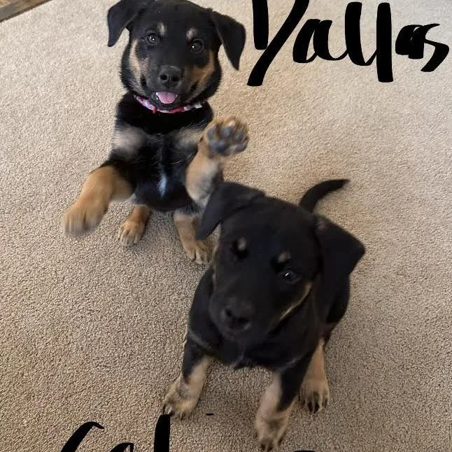 Celina D thumbnail 3