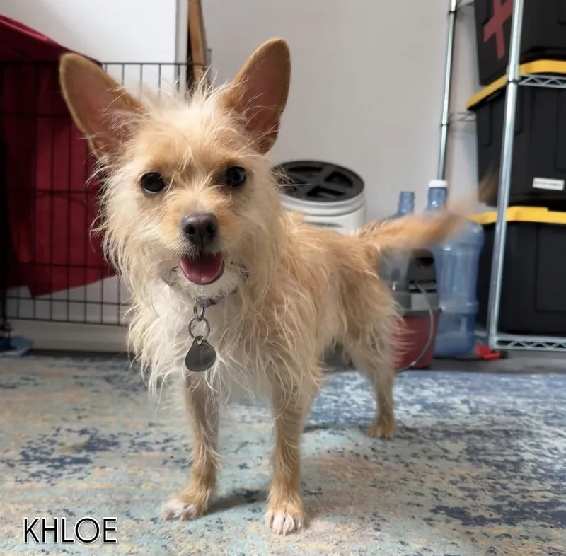 Khloe
