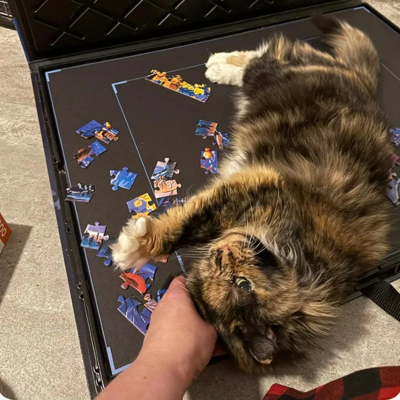 Raggedy Ann Fiv+ thumbnail 2