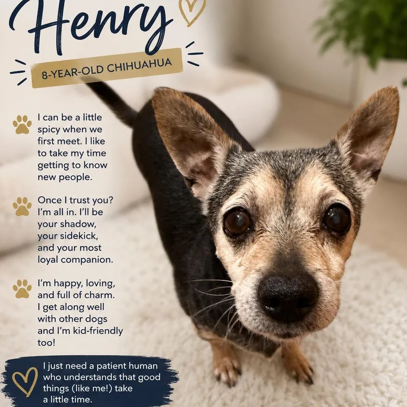 Henry thumbnail 2
