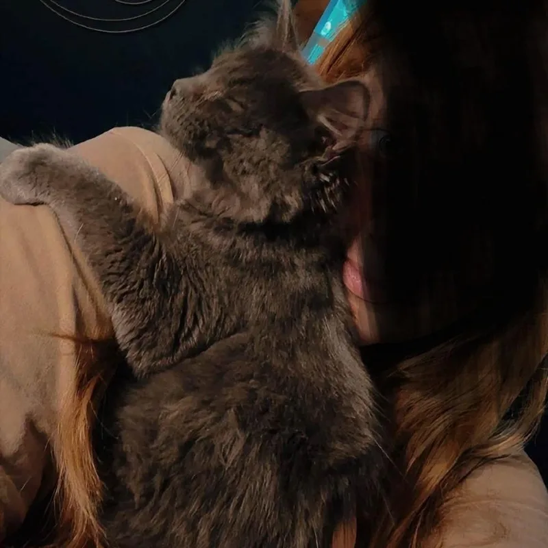 Stubbs thumbnail 3