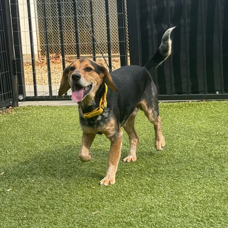 Bob's Your Uncle thumbnail 2