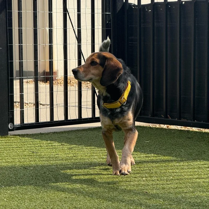 Bob's Your Uncle thumbnail 3