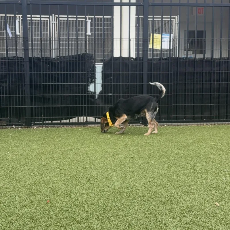 Bob's Your Uncle thumbnail 4