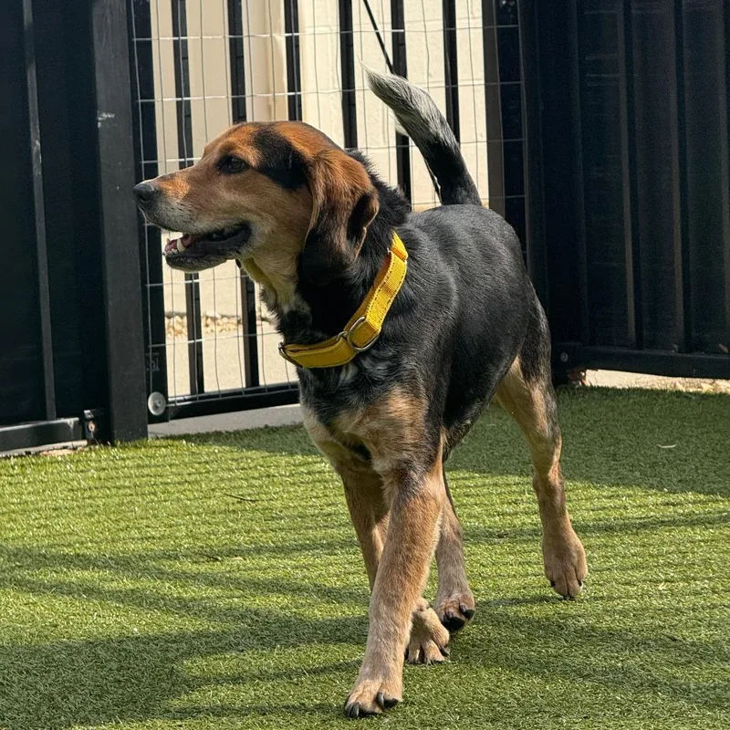 Bob's Your Uncle thumbnail 5