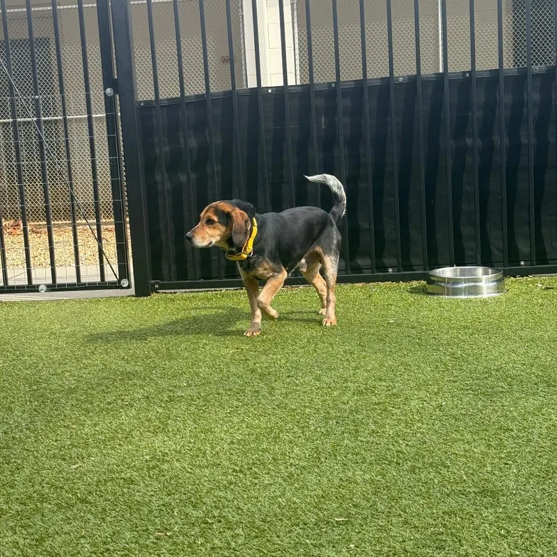 Bob's Your Uncle thumbnail 6