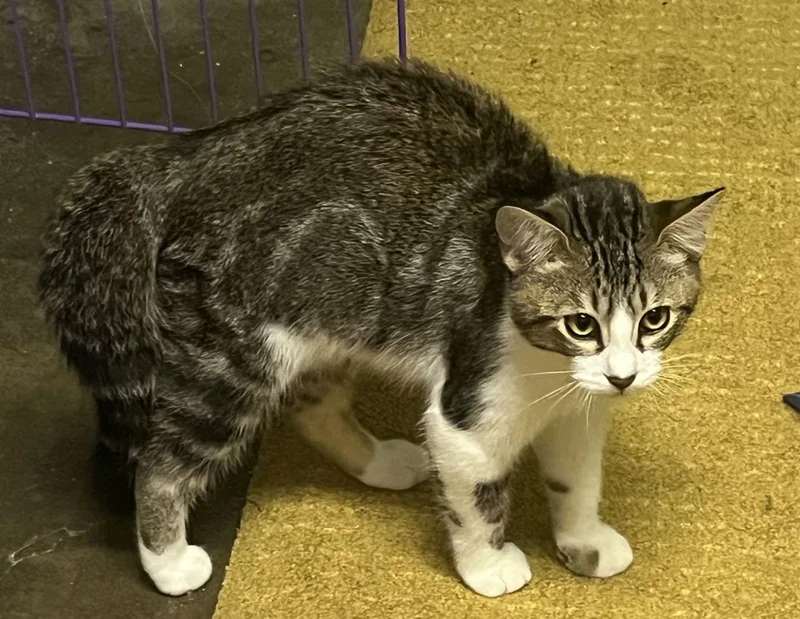 Zion And Zara thumbnail 2