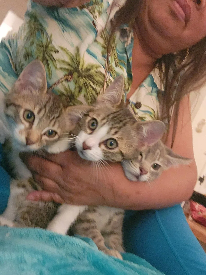 Zion And Zara thumbnail 3