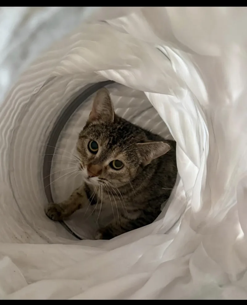 Railroad thumbnail 2