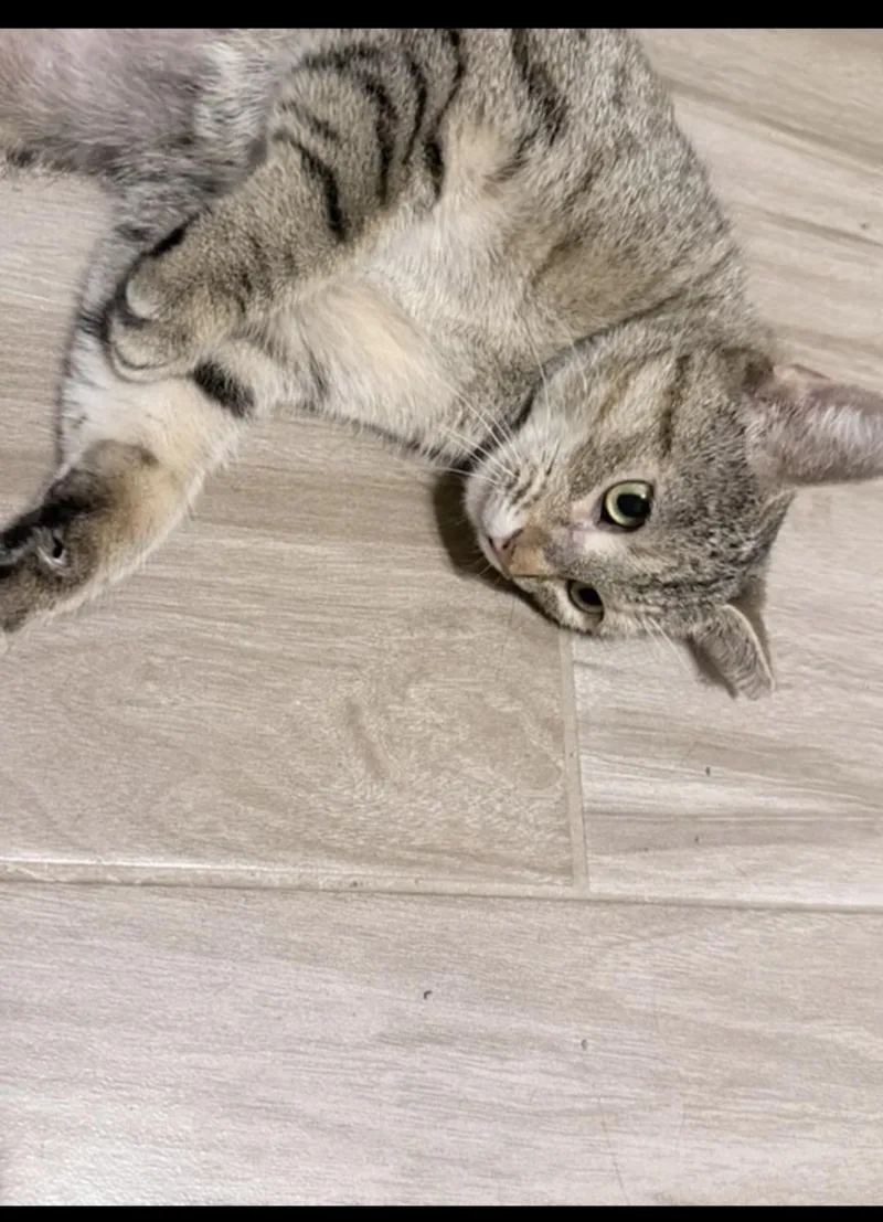 Railroad thumbnail 4