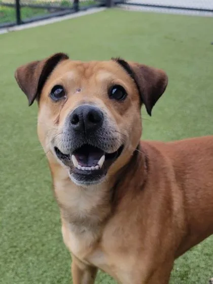 Jinkx Monsoon thumbnail 3