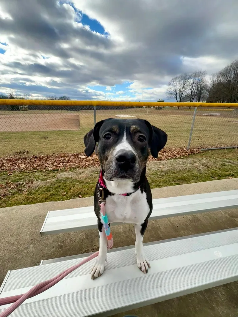Joy thumbnail 2
