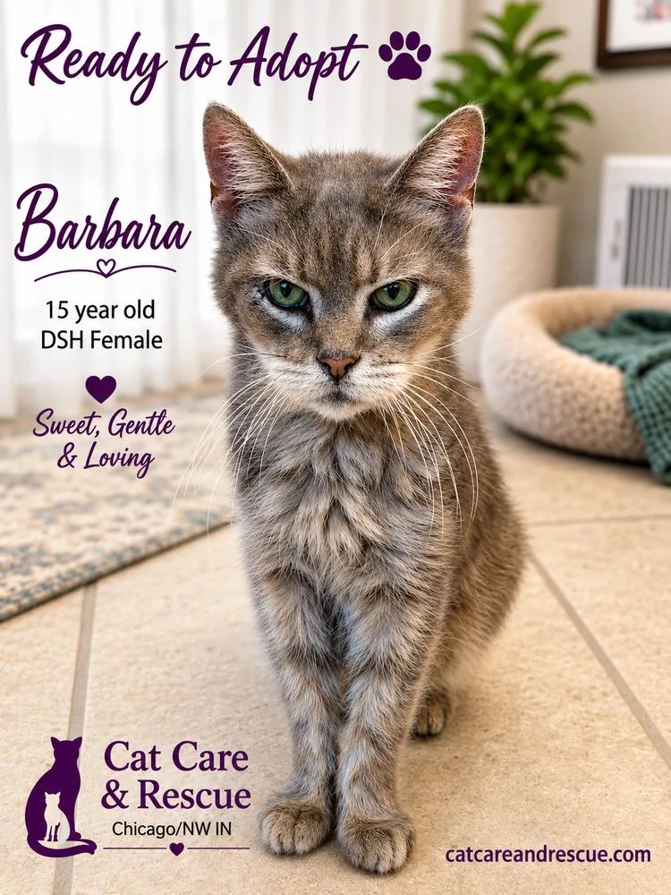 Marcy thumbnail 2