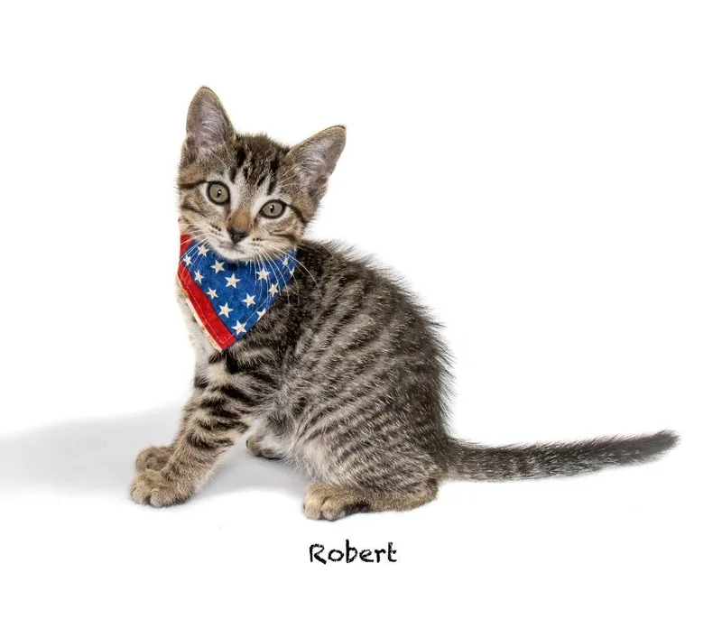 Robert thumbnail 3
